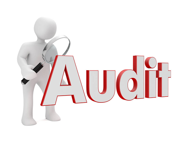 Audit <br> Marketing