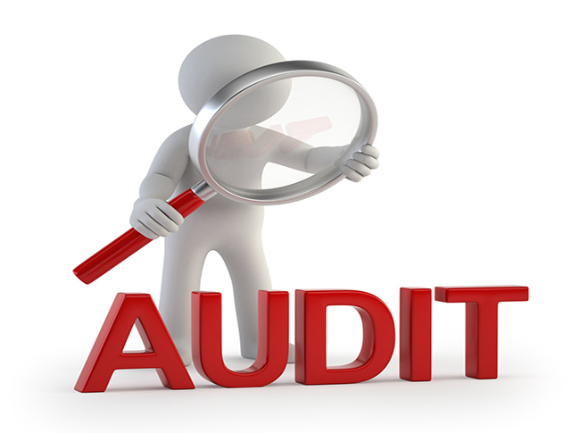 Audit <br> Marketing