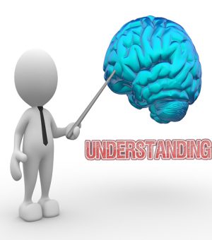 Brain 3d people - man, person pointing a brain